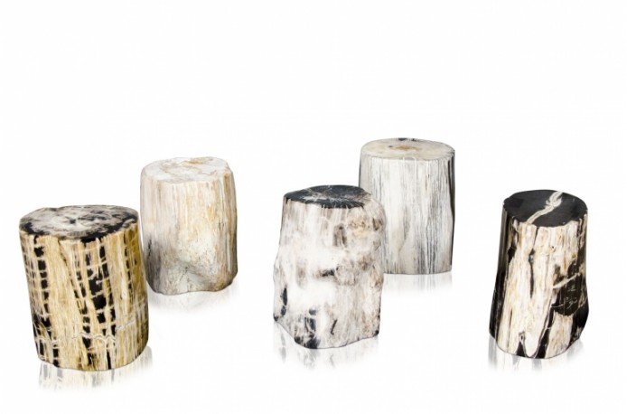 Stools in petrified wood