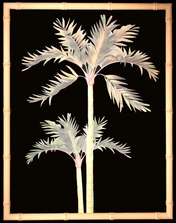 Palm Trees Prints, Firenze