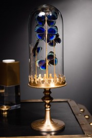 Mini Globe 5 Magnifiques Papillons Bleu A. LEPRIEURI
