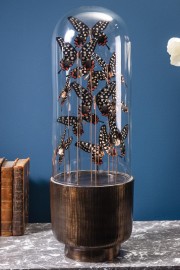 11 Black & White Butterflies in Capsule Glass