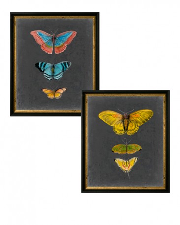 Watercolor Butterflies Reproductions - Set of 2
