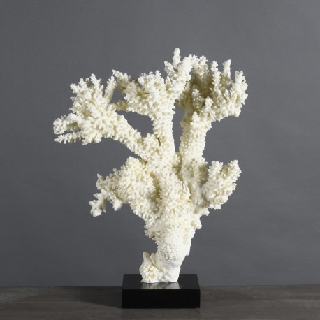 Coral Branch "Giant Stylophora" - Repro
