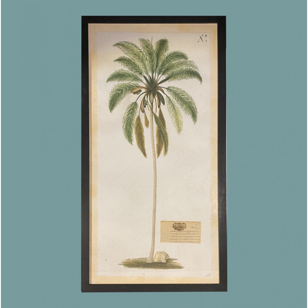 Merveilleuses gravures de Palmiers imprimées artisanalement.