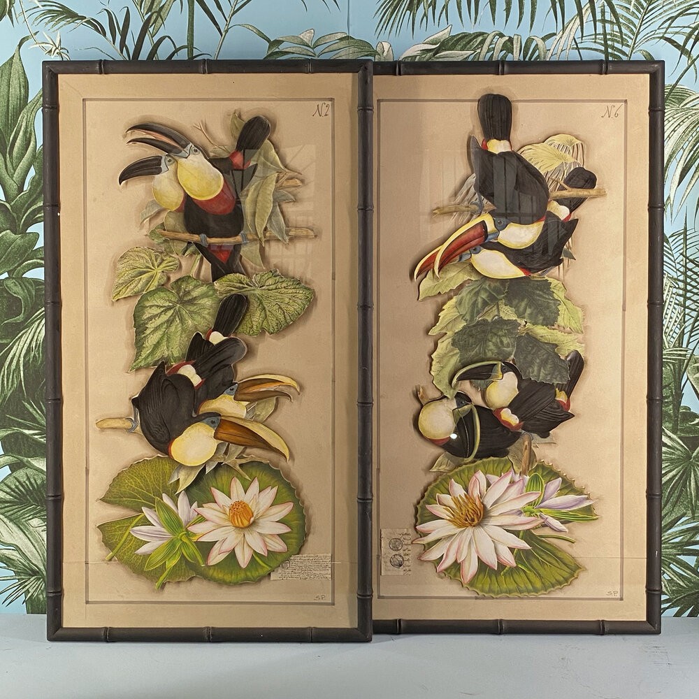Tableaux de Toucan, collages d'anciennes gravures peintes à la main.