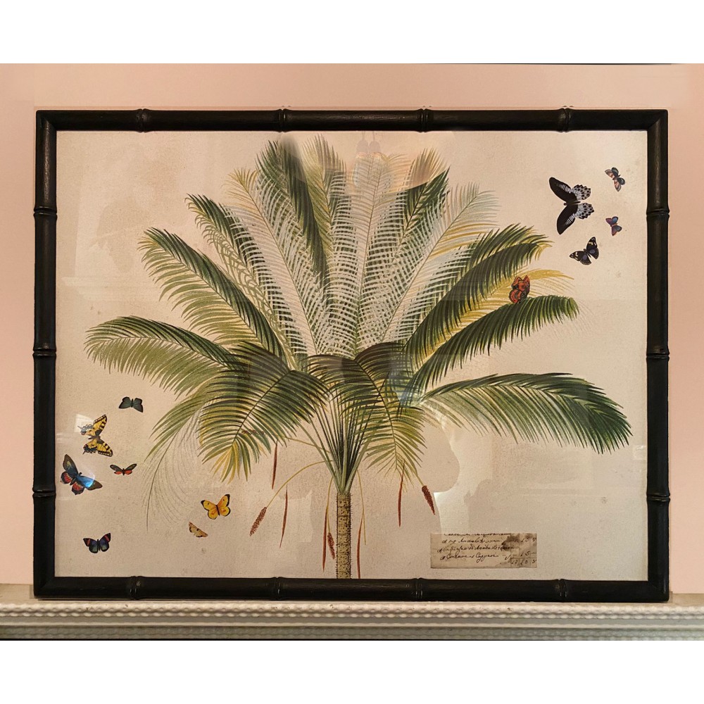 Merveilleuses gravures de Palmiers aux Papillons imprimées artisanalement.