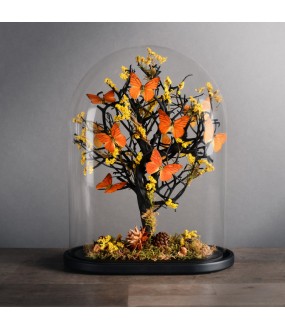 Oval Globe Orange Butterflies