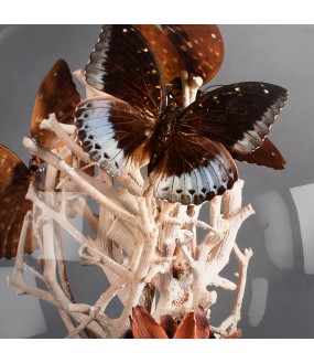 Naturalistic Globes Mix of Butterflies, Set of 3