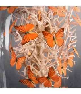 Orange Butterflies Naturalist Square Globe