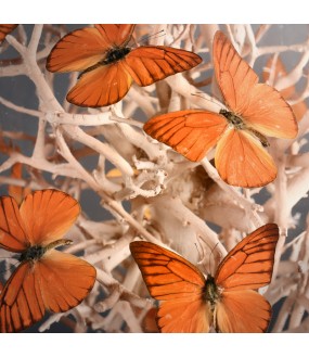 Globe Carré Naturaliste Papillons Oranges