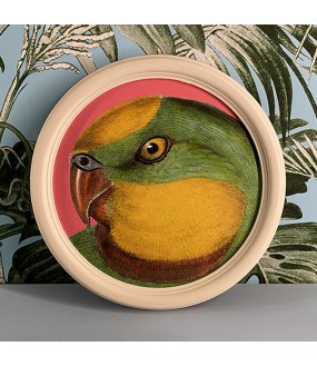 Set of 6 Round Frames of a Charming Company of Parrots