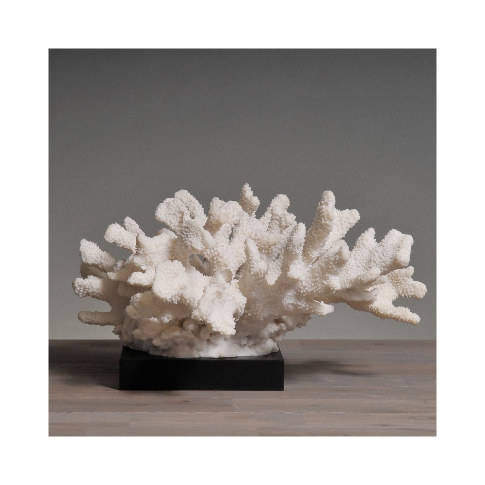 Coral in White Resin XL H23cm