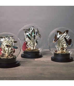 Naturalia Globes H56cm - Set of 3