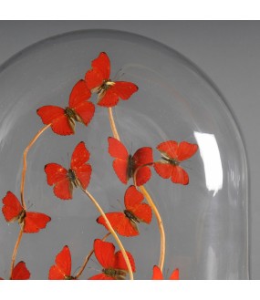 Globe Naturaliste - 9 Papillons Rouge
