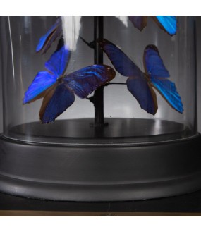 Grande Lampe Papillons Morphos H60cm