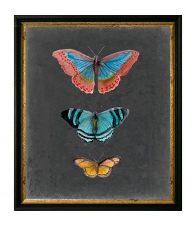 Watercolor Butterflies Reproductions - Set of 2