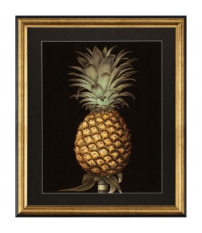 Grandes Gravures Botanique, Ananas - La Paire