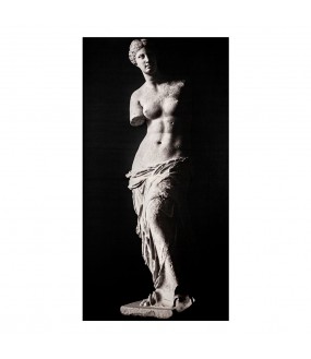 The Galatea canvas, a canvas straight out of the corridors of time.