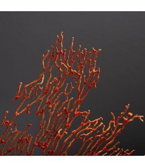 Gorgone Rouge sur Socle Laiton H30x25cm