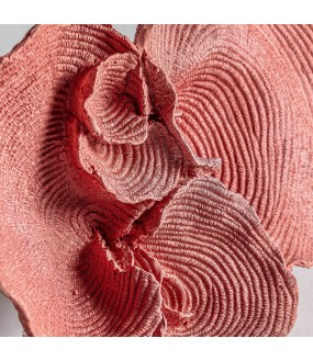Pink Resin Coral - H22x33cm
