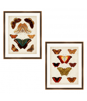 Set de 2 Reproductions Aquarelles Papillons