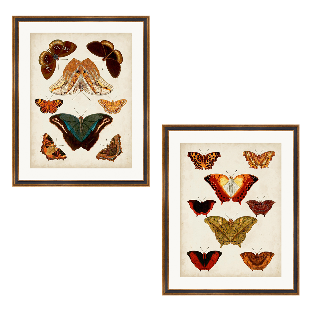 Set de 2 Reproductions Aquarelles Papillons