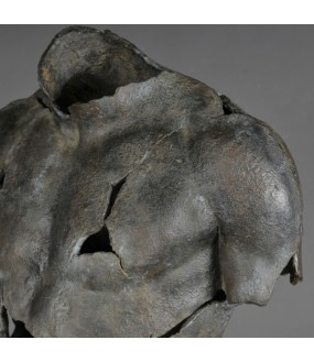 Fragment Buste Gréco Romain H79cm