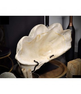 Fossilized Tridacna Giant Clam on Iron Stand