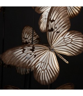 White and Black Butterflies Under Globe