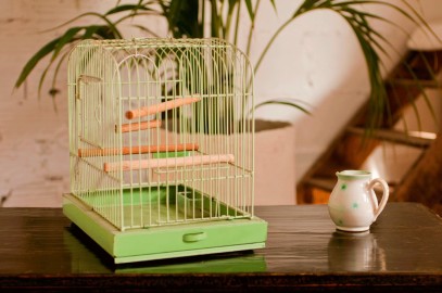 Cage à oiseaux verte